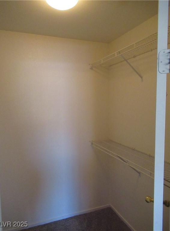 Photo #24