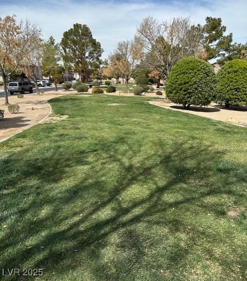 Photo #42
