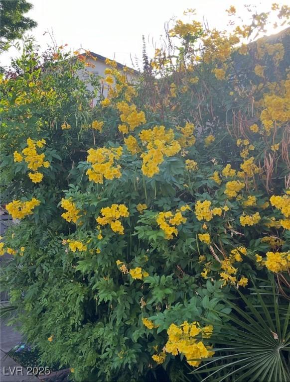 Photo #33