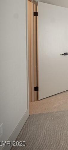Photo #11