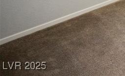 Photo #21