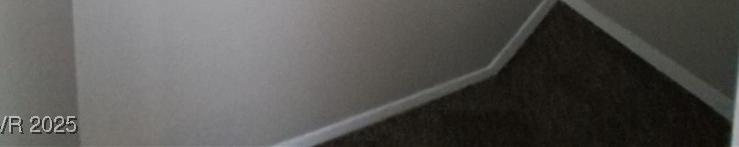 Photo #11