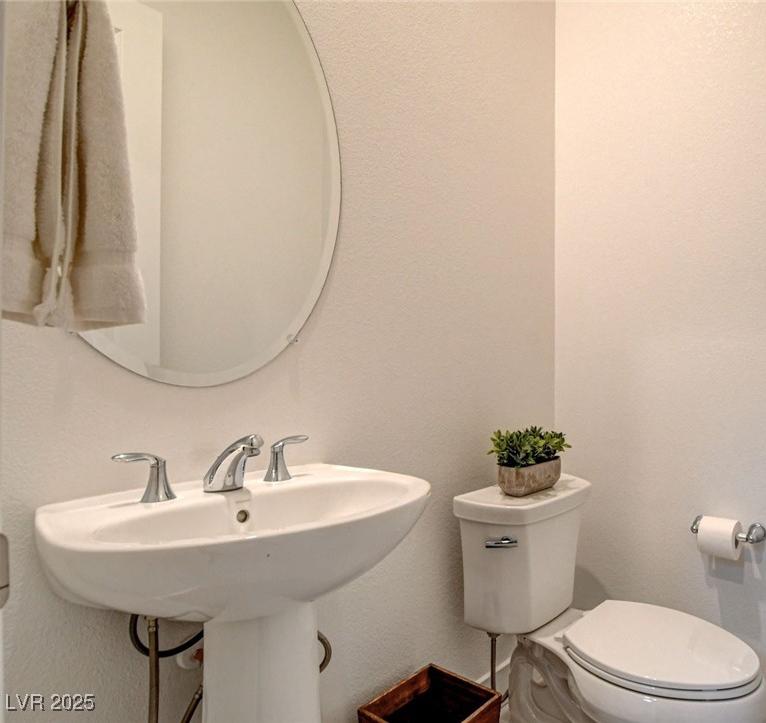 Photo #42