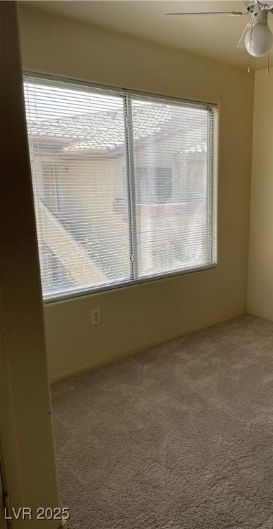 Photo #4