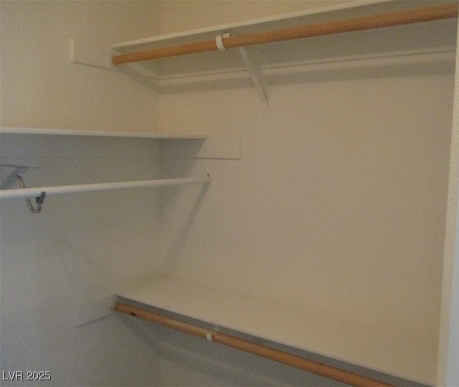 Photo #11
