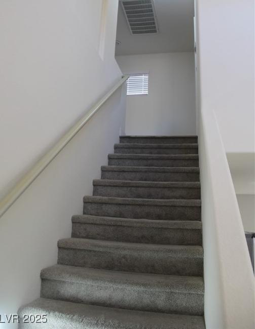 Photo #12