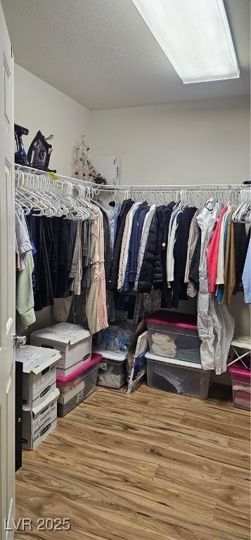 Photo #21