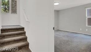 Photo #12
