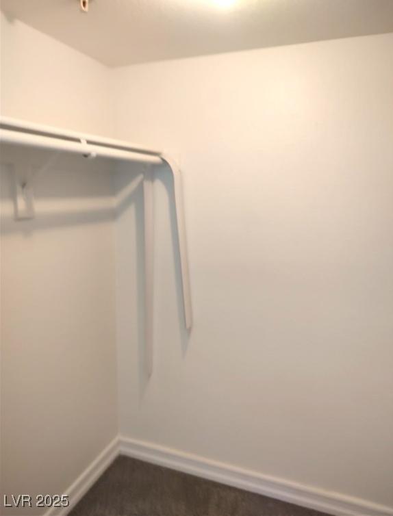 Photo #13