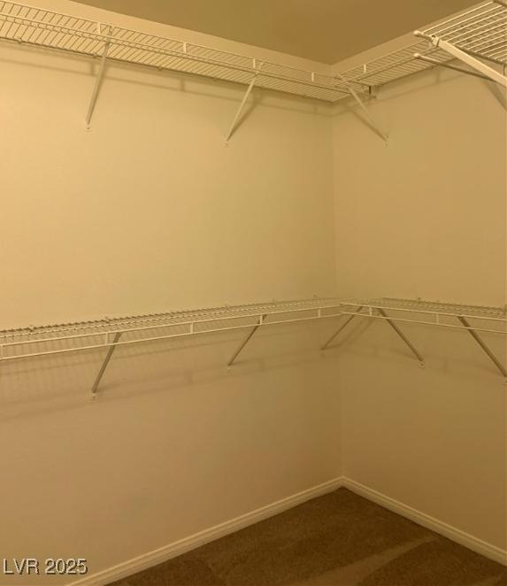 Photo #14