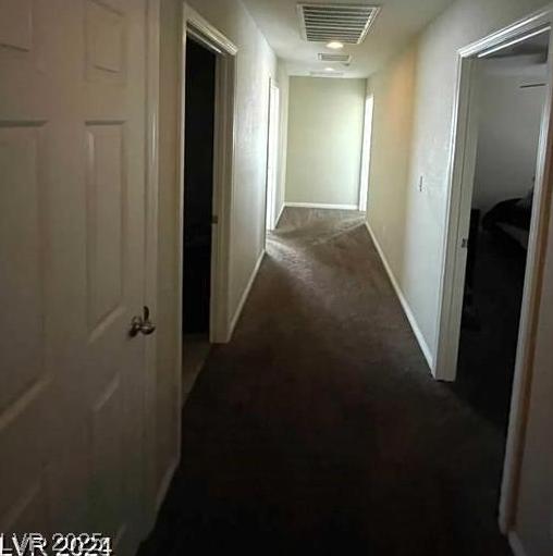 Photo #49