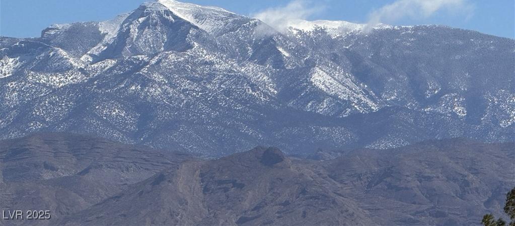 Photo #7