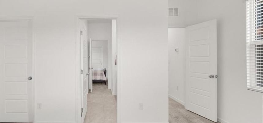 Photo #10