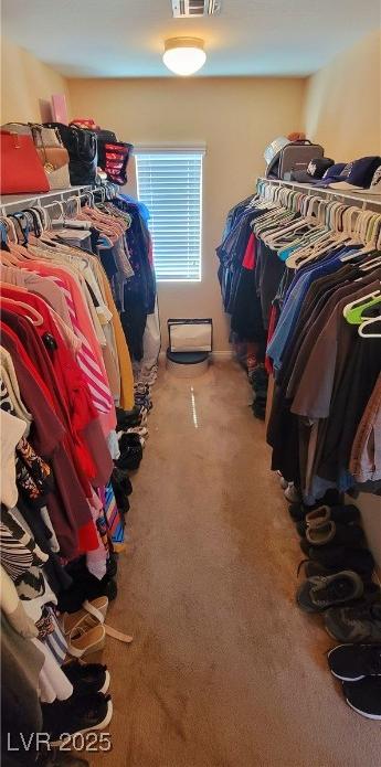 Photo #29