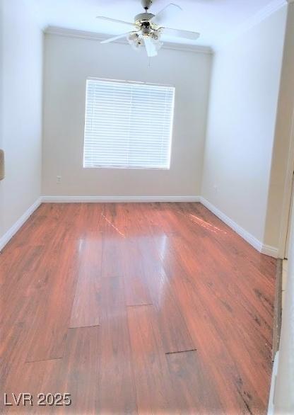 Photo #5