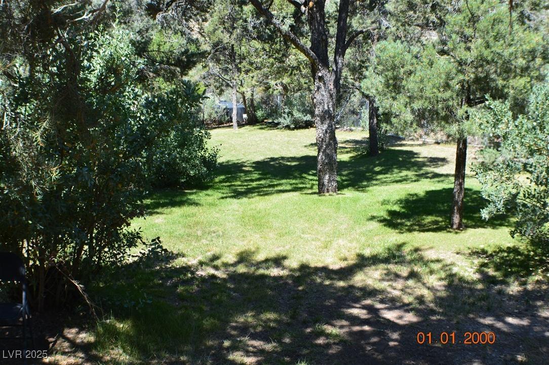 Photo #5