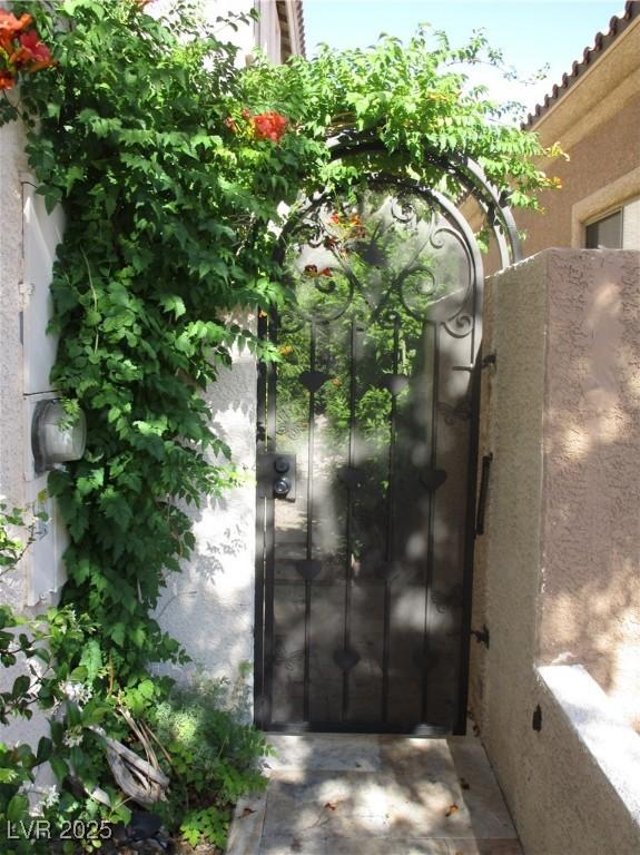 Photo #25