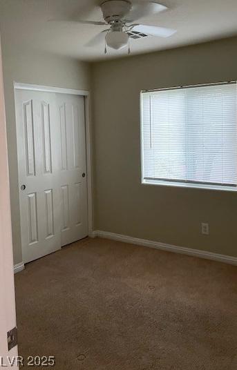 Photo #21