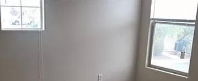 Photo #16
