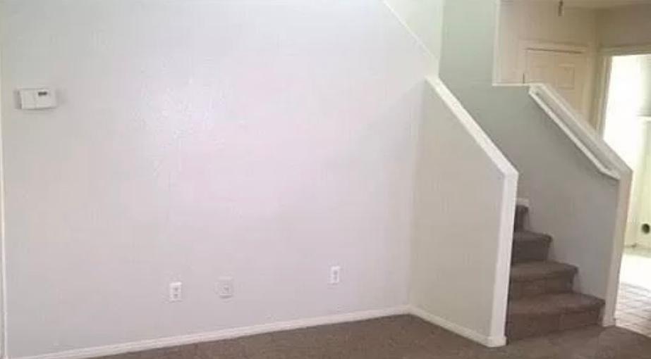 Photo #7