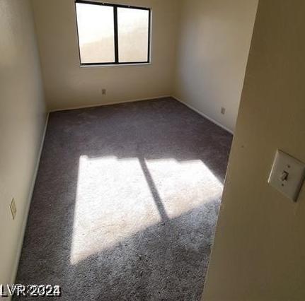 Photo #24