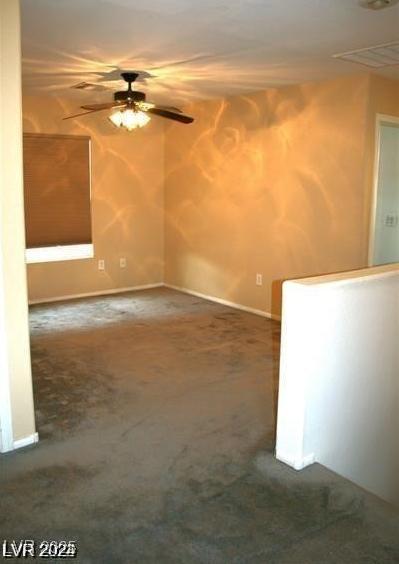 Photo #24