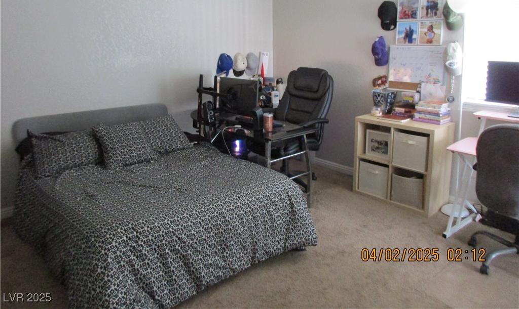 Photo #15