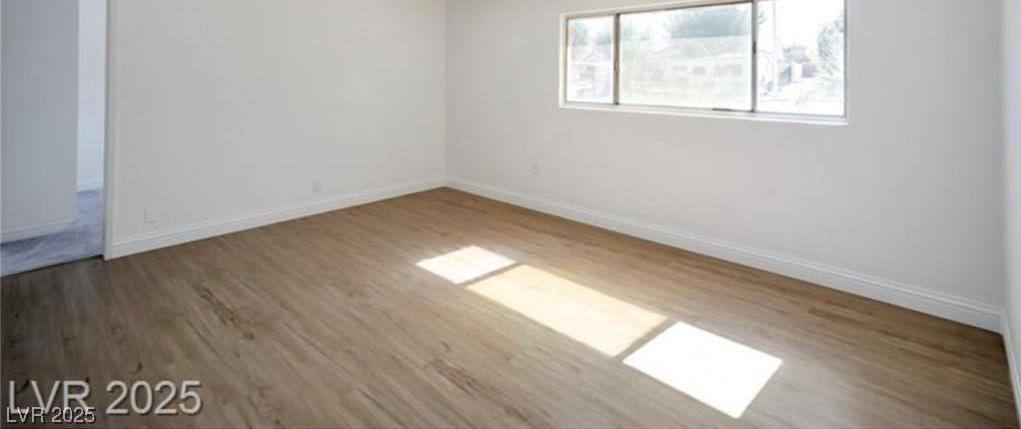 Photo #12
