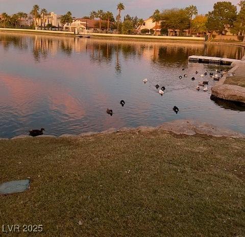 Photo #36