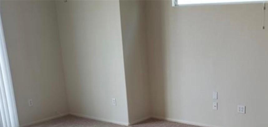 Photo #8