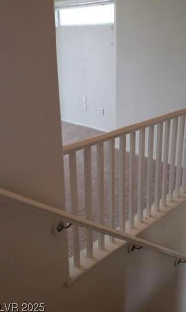 Photo #3