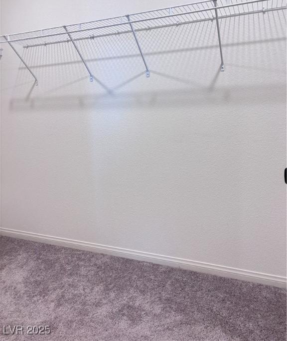 Photo #37
