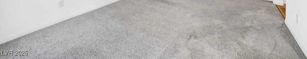 Photo #15