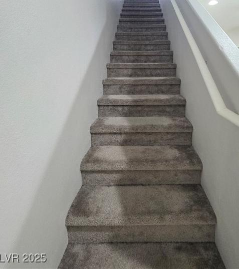 Photo #23