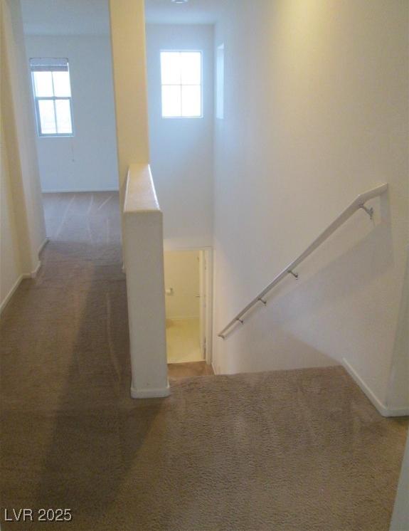 Photo #11