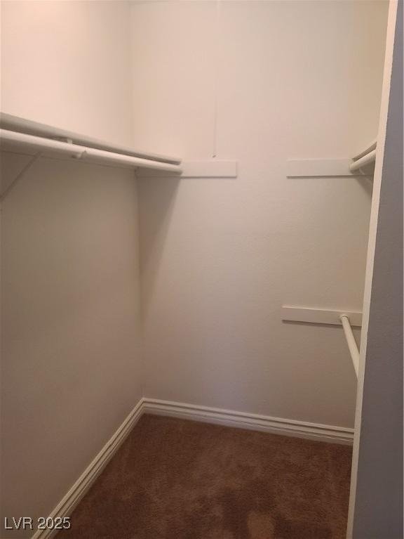 Photo #16