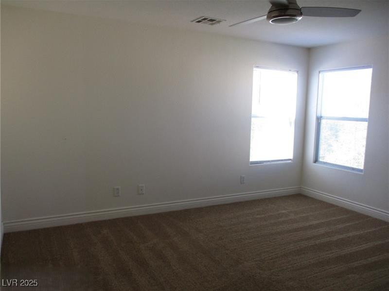 Photo #14