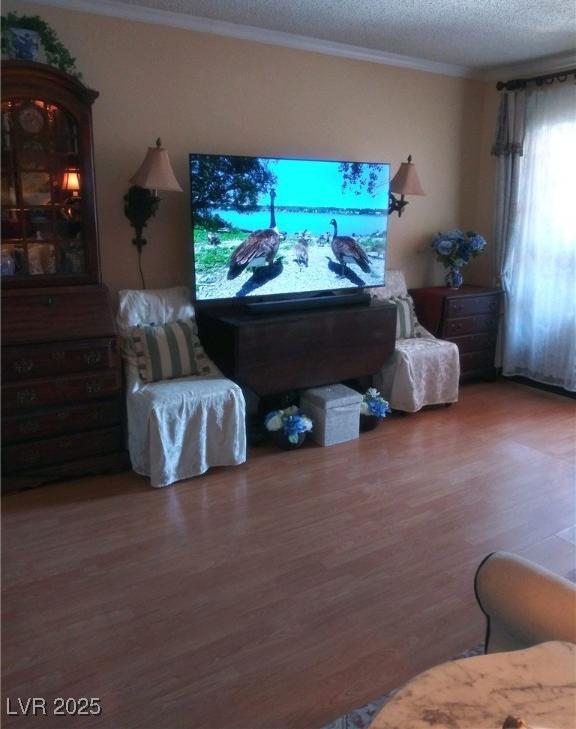 Photo #8
