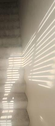 Photo #3
