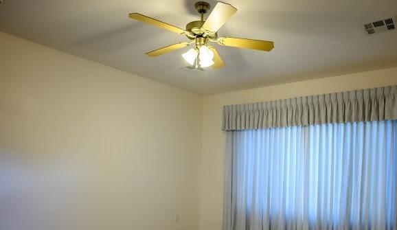 Photo #15