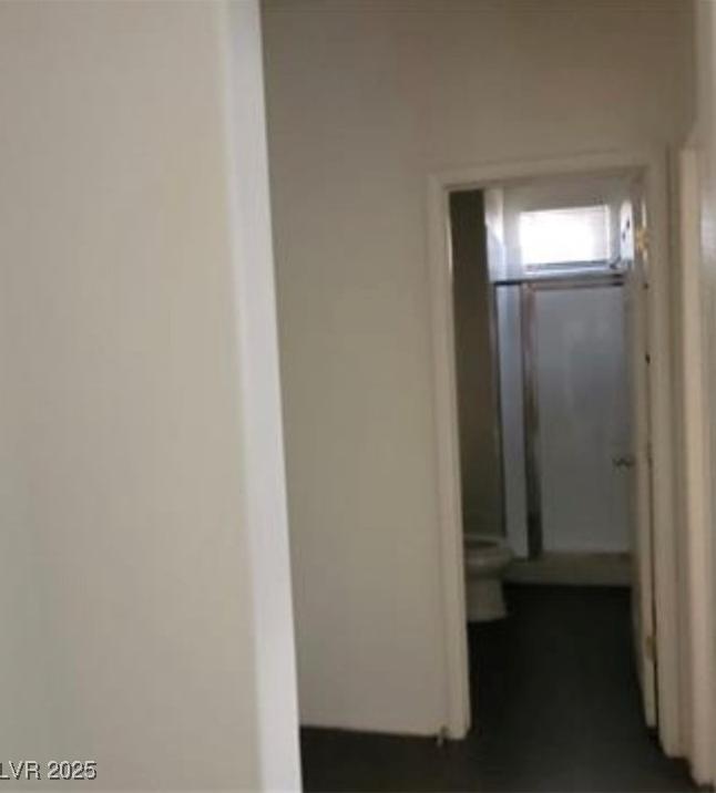 Photo #13