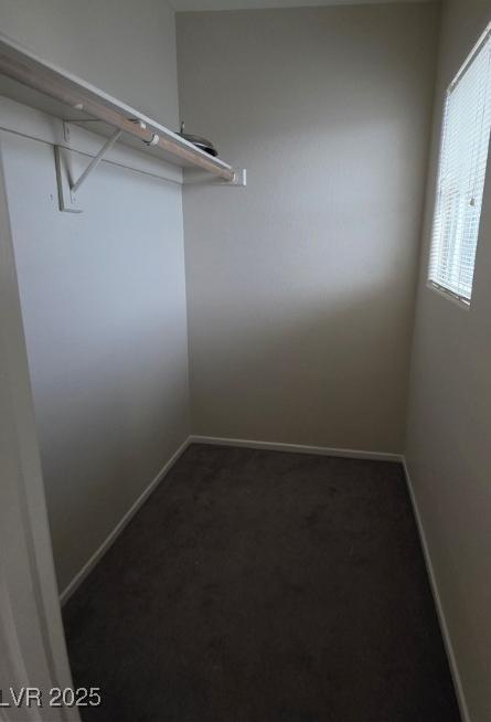 Photo #31