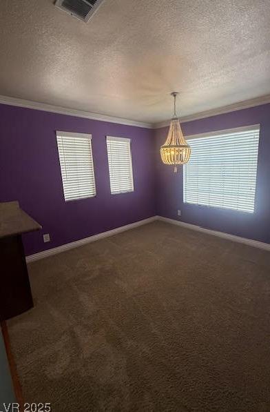 Photo #11