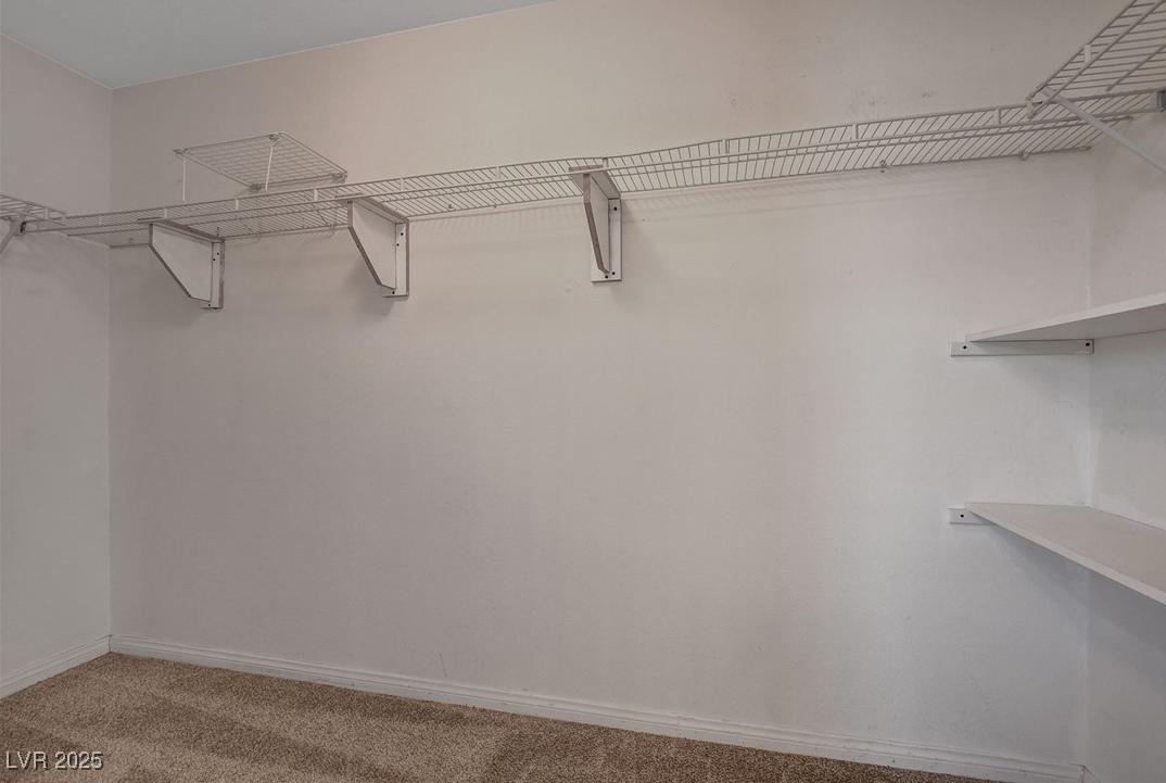Photo #41