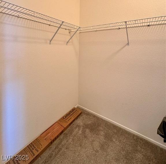 Photo #19