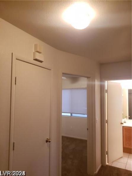 Photo #42