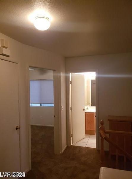 Photo #41