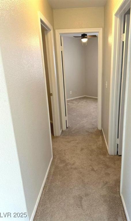 Photo #18