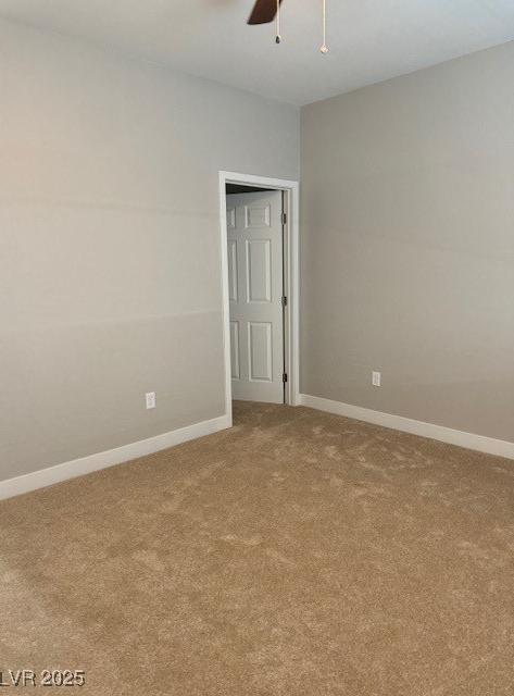 Photo #34