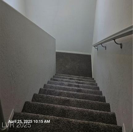Photo #28